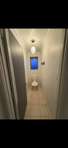 Customer photo review of Regal Beasts - Whimsical Animal Wallpaper - Charcoal