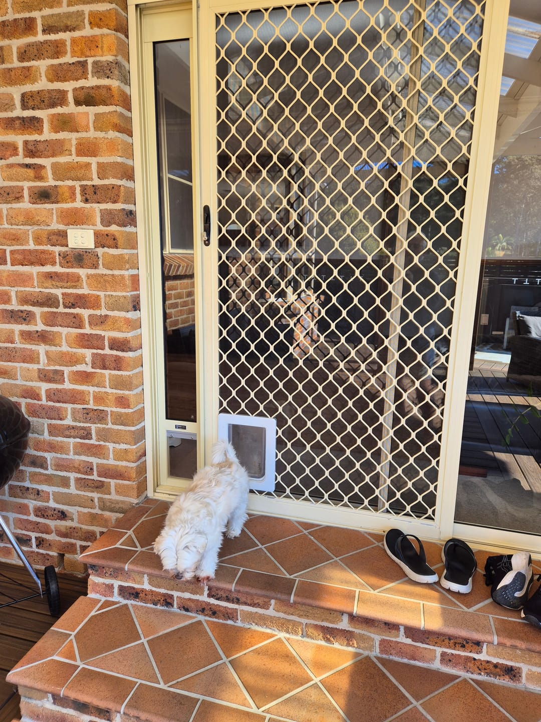 Customer photo review of Adaptor (Close+Lock Glass and Fly Screen door)