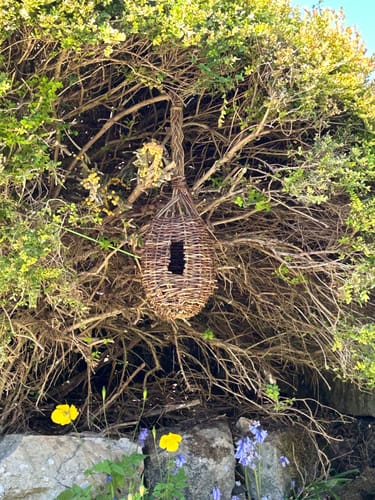 Customer photo review of The Bird Box - Course and Kit