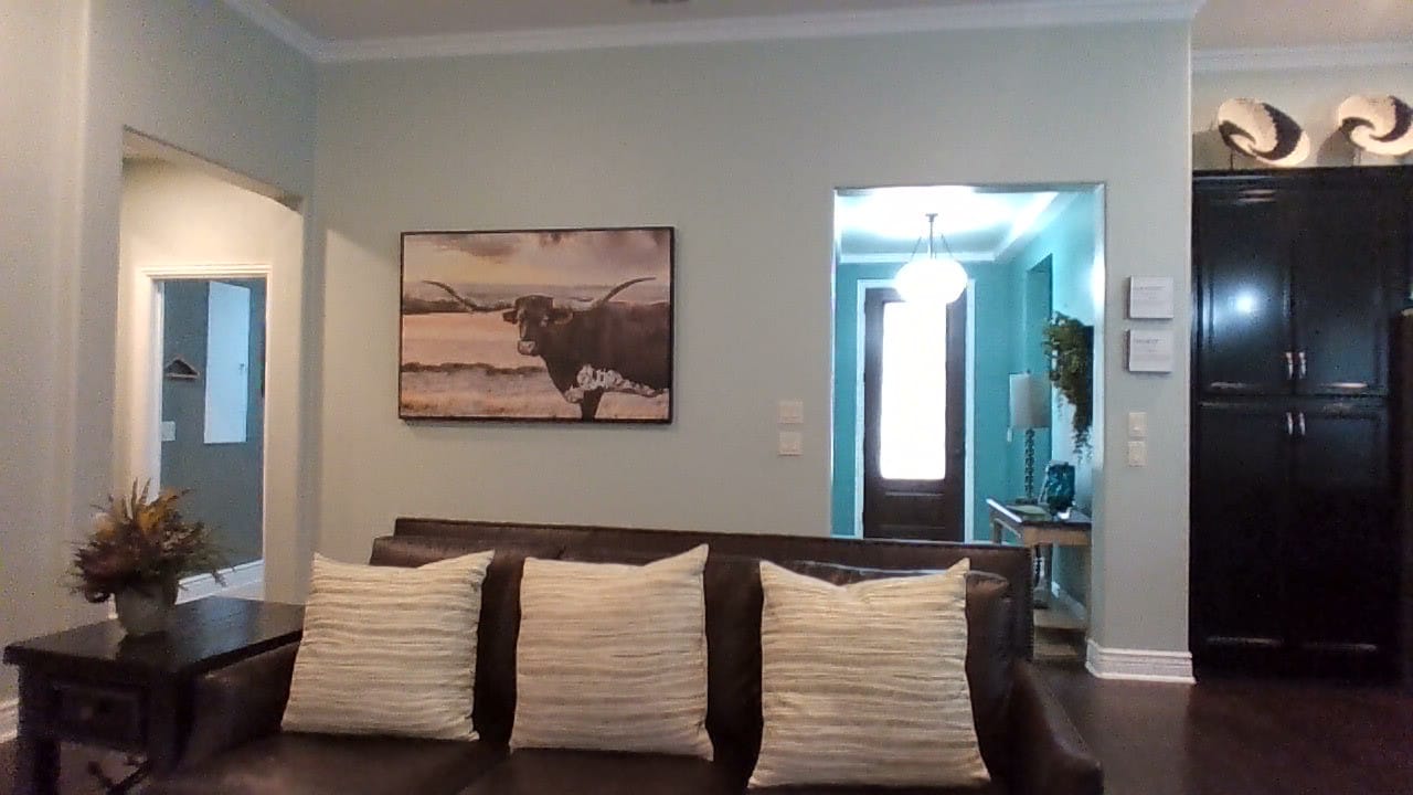 Customer photo review of Texas Longhorn Wall Art Canvas Print, Rustic Ranch Decor, Majestic Western Longhorn Cattle Photography for Farmhouse Living Room – Ready to