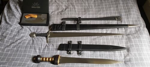Customer photo review of Kingsguard - Sharp