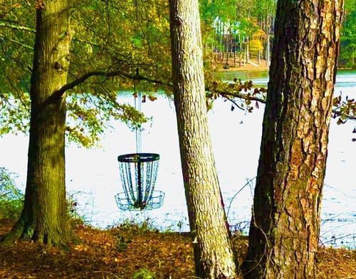Customer photo review of Custom Landscapes