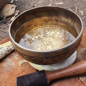 Customer photo review of Tree of Life Singing Bowl