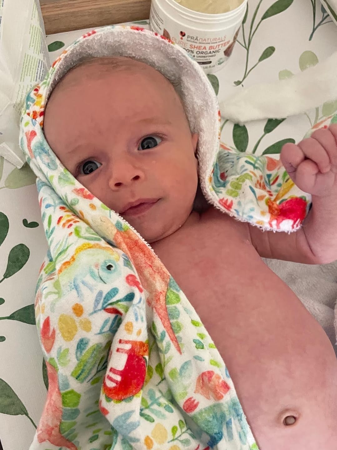 Customer photo review of Vibrant Dinosaurs Brushed Cotton Fabric