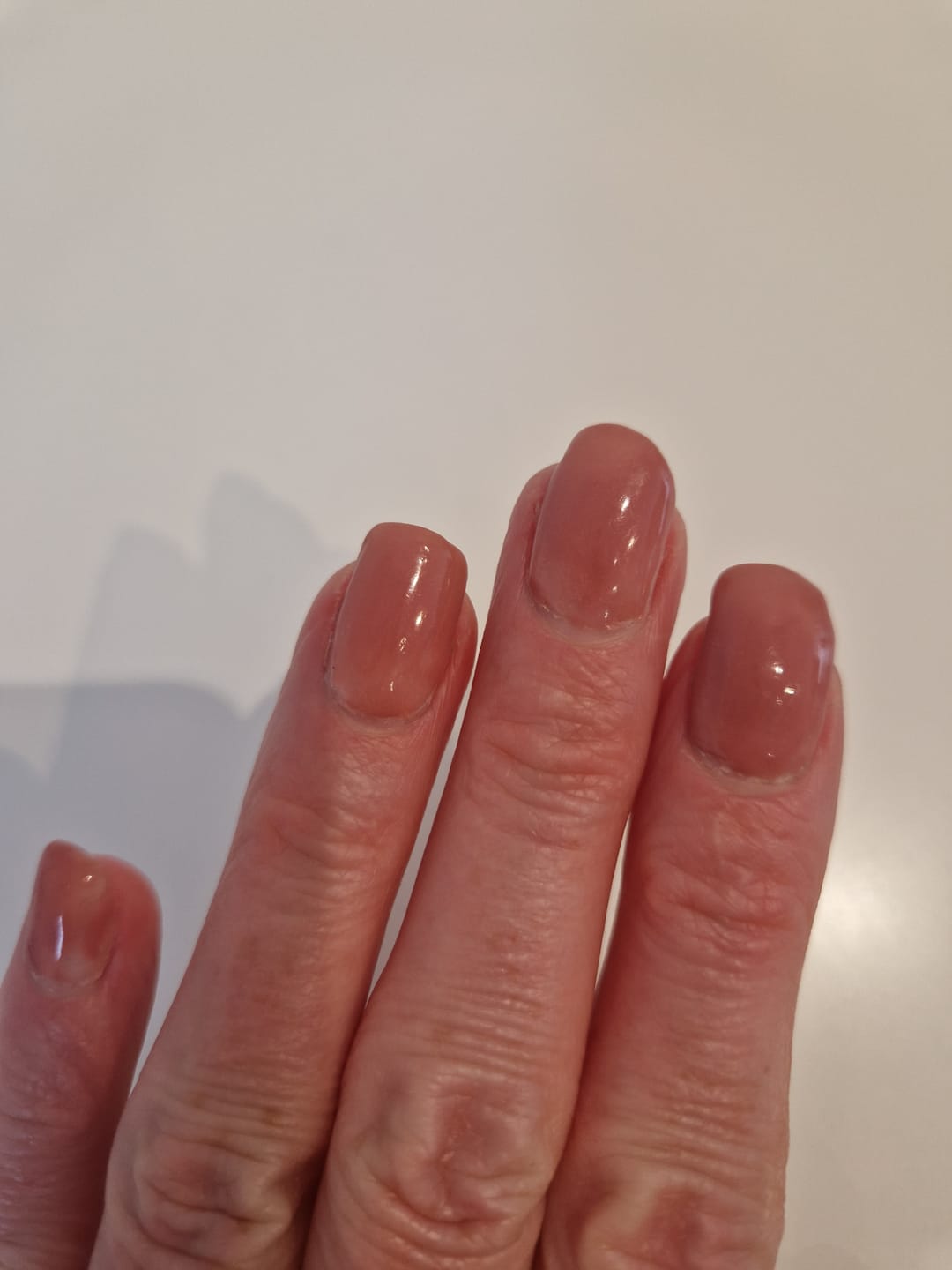 Customer photo review of Primer