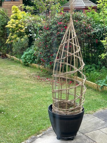 Customer photo review of The Willow Plant Support - Course and Kit
