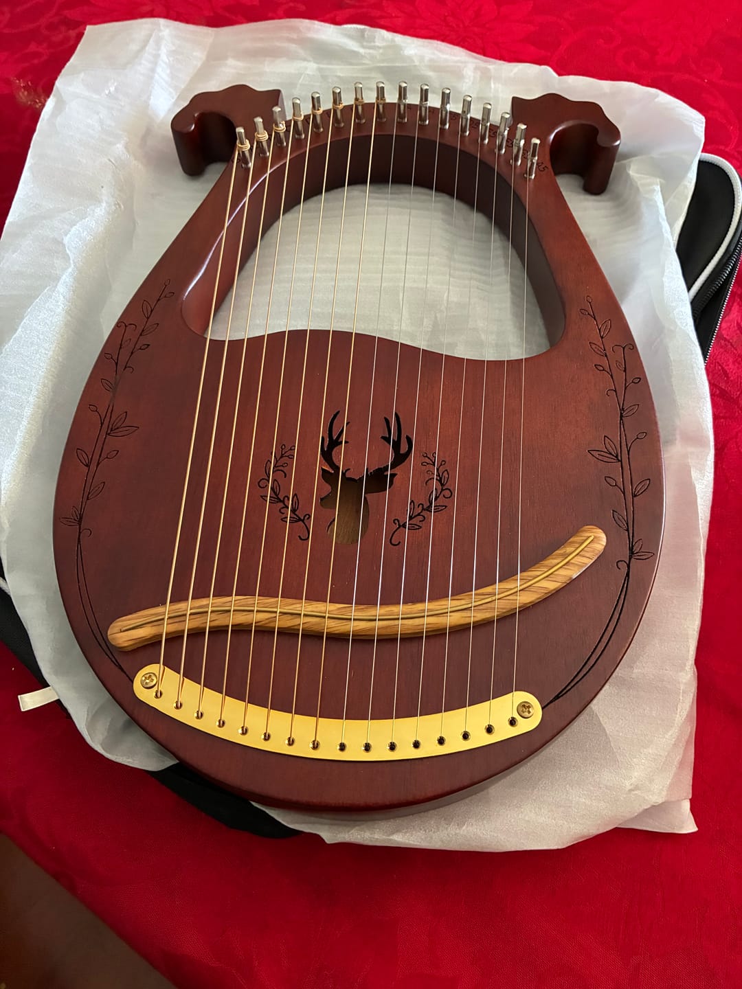 Customer photo review of NARA LYRE 16 String Mahogany w/Bag