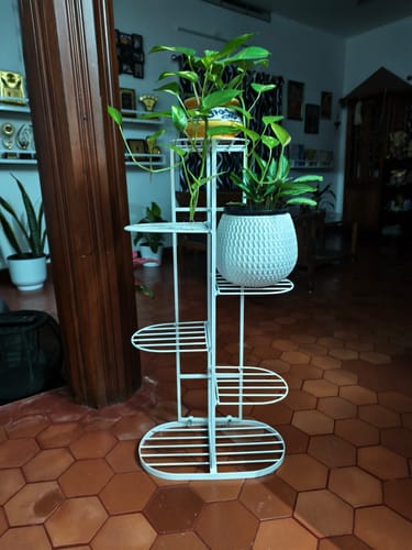 Customer photo review of UnitedCrafts 6 Tier 7 Potted Metal Plant Stand Multiple Shelves