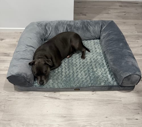 Customer photo review of PaWz Premium Pet Sofa Bed