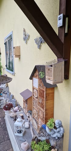 Customer photo review of BeeSummer Set Observer