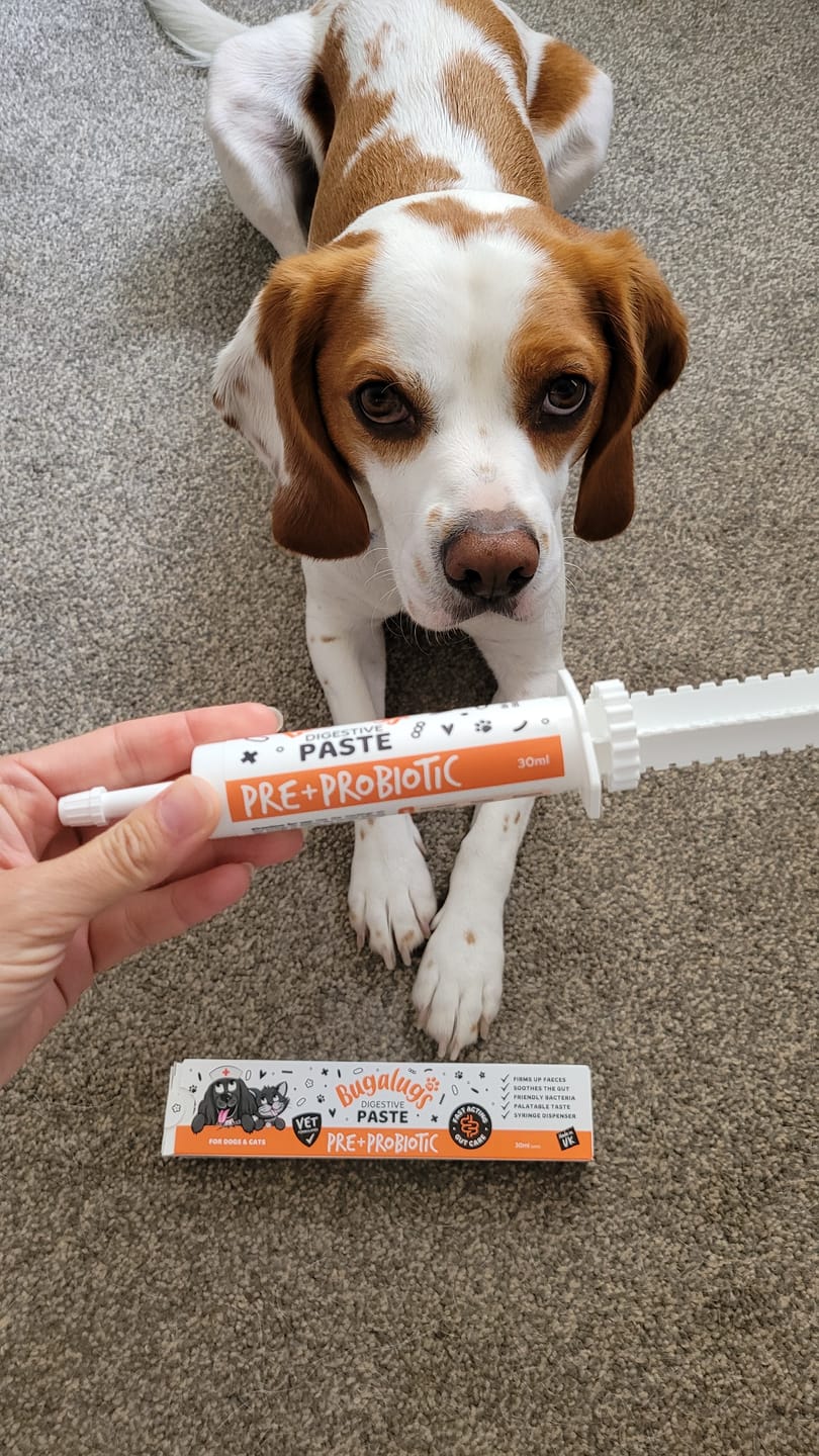 Customer photo review of Bugalugs Pre & Probiotic Digestive Paste for Dogs & Cats (30ml)
