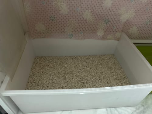 Customer photo review of [ 免運 6入/箱 ] PANI 99%無塵豆腐砂-原味 薰衣草 綠茶 7L (2.8kg) x 6入/箱