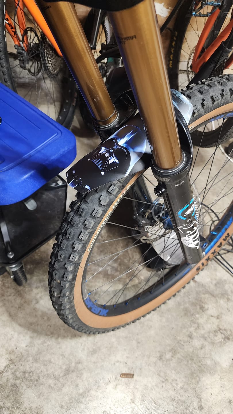 Customer photo review of Custom Fender