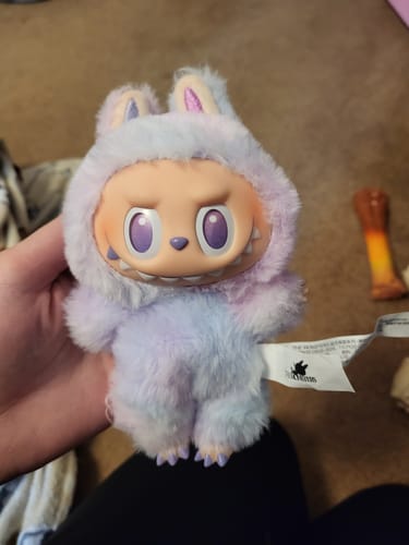 Customer photo review of Pop Mart The Monsters Big Into Energy Series Vinyl Plush Pendant Blind Box