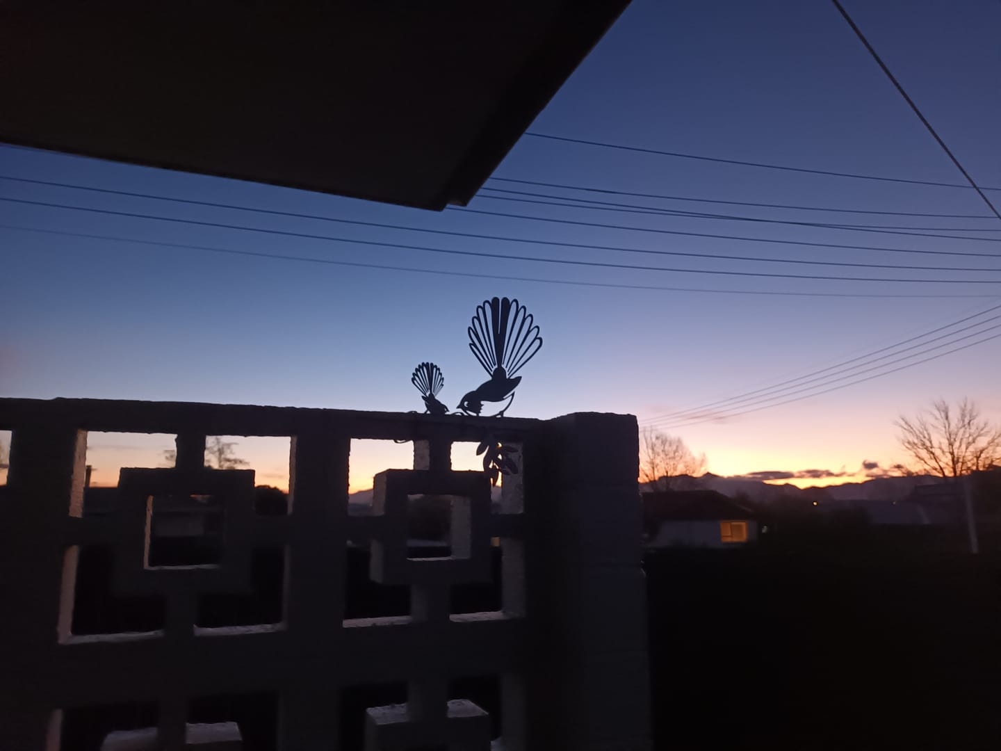 Customer photo review of Pīwakawaka (Fantail) and Baby