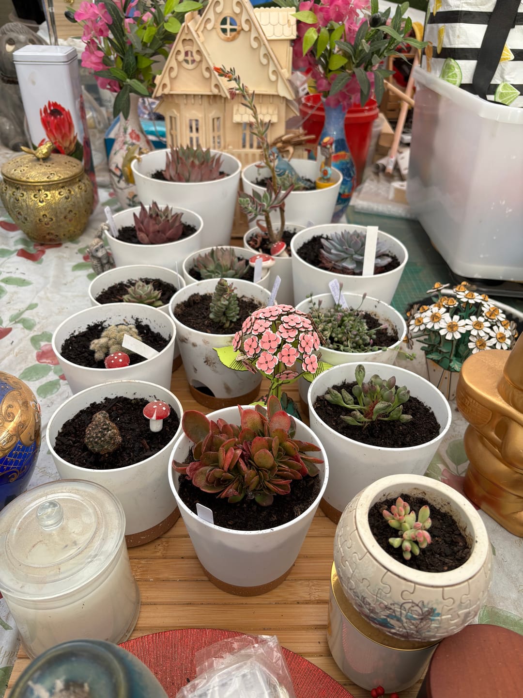 Customer photo review of Crassula Baby's Necklace