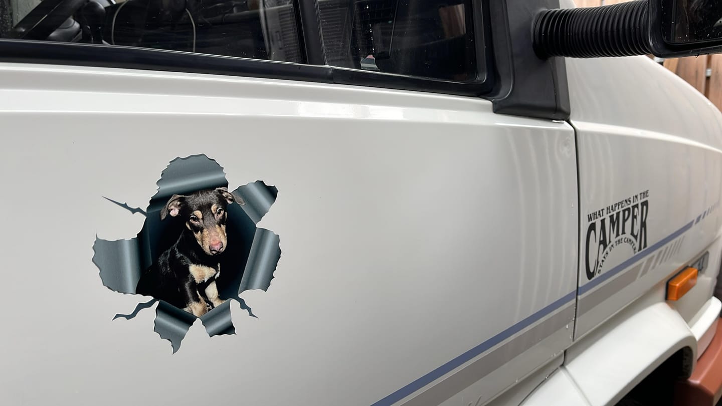 Customer photo review of Spioneren foto - Gepersonaliseerde autosticker