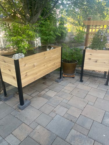 Customer photo review of 18″ x 24″ Raised Garden Bed - 30" TALL