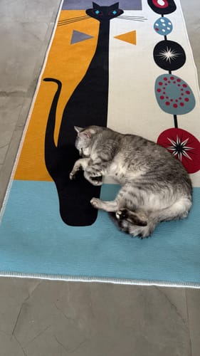 Customer photo review of Rylanka- Kitchen Printed Rug