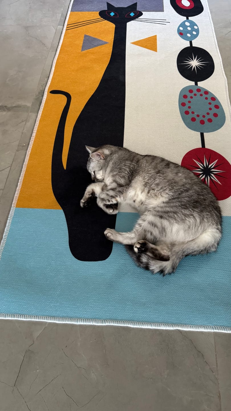 Customer photo review of Rylanka- Kitchen Printed Rug