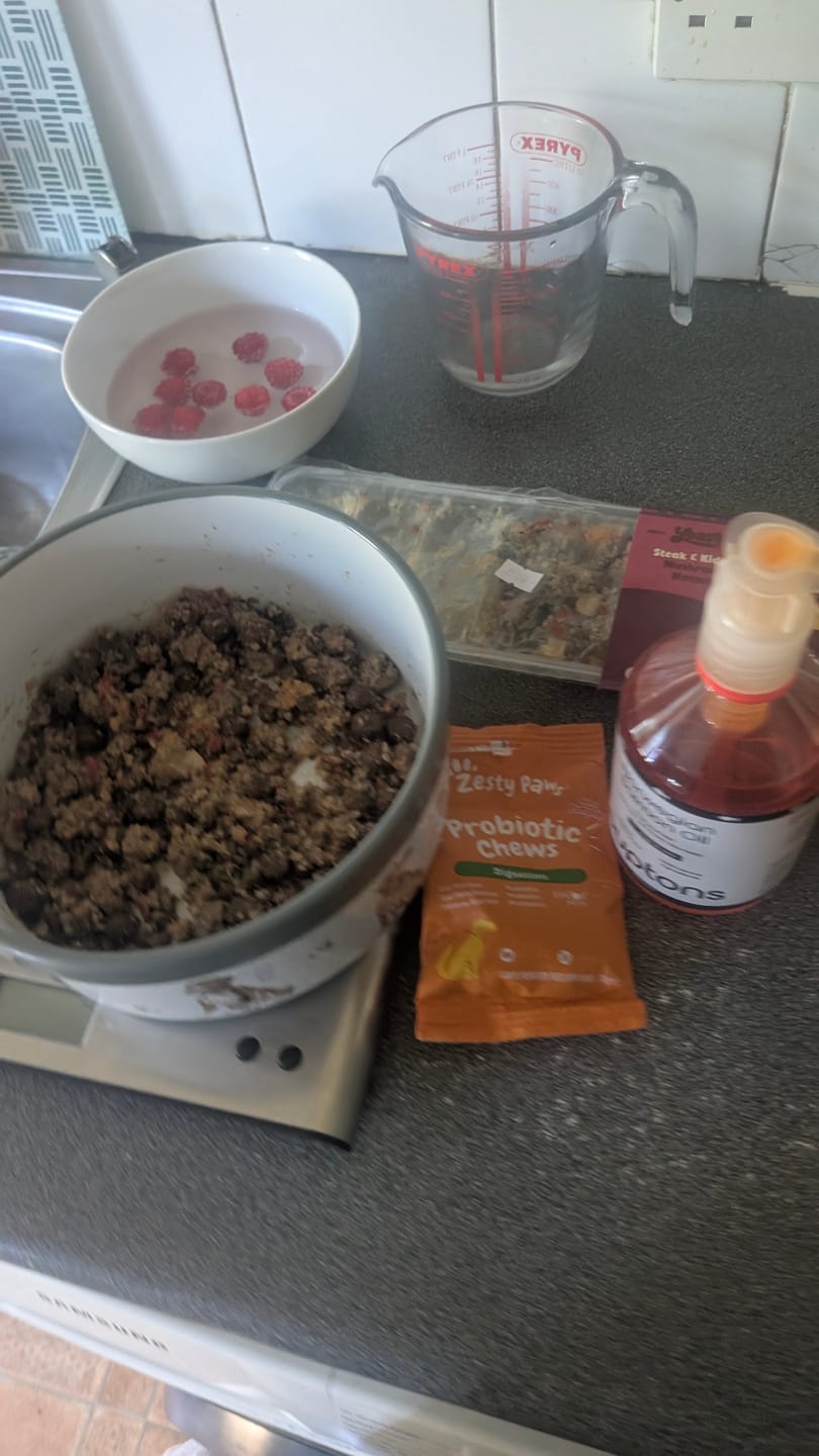 Customer photo review of Norwegian Salmon Oil For Dogs & Cats