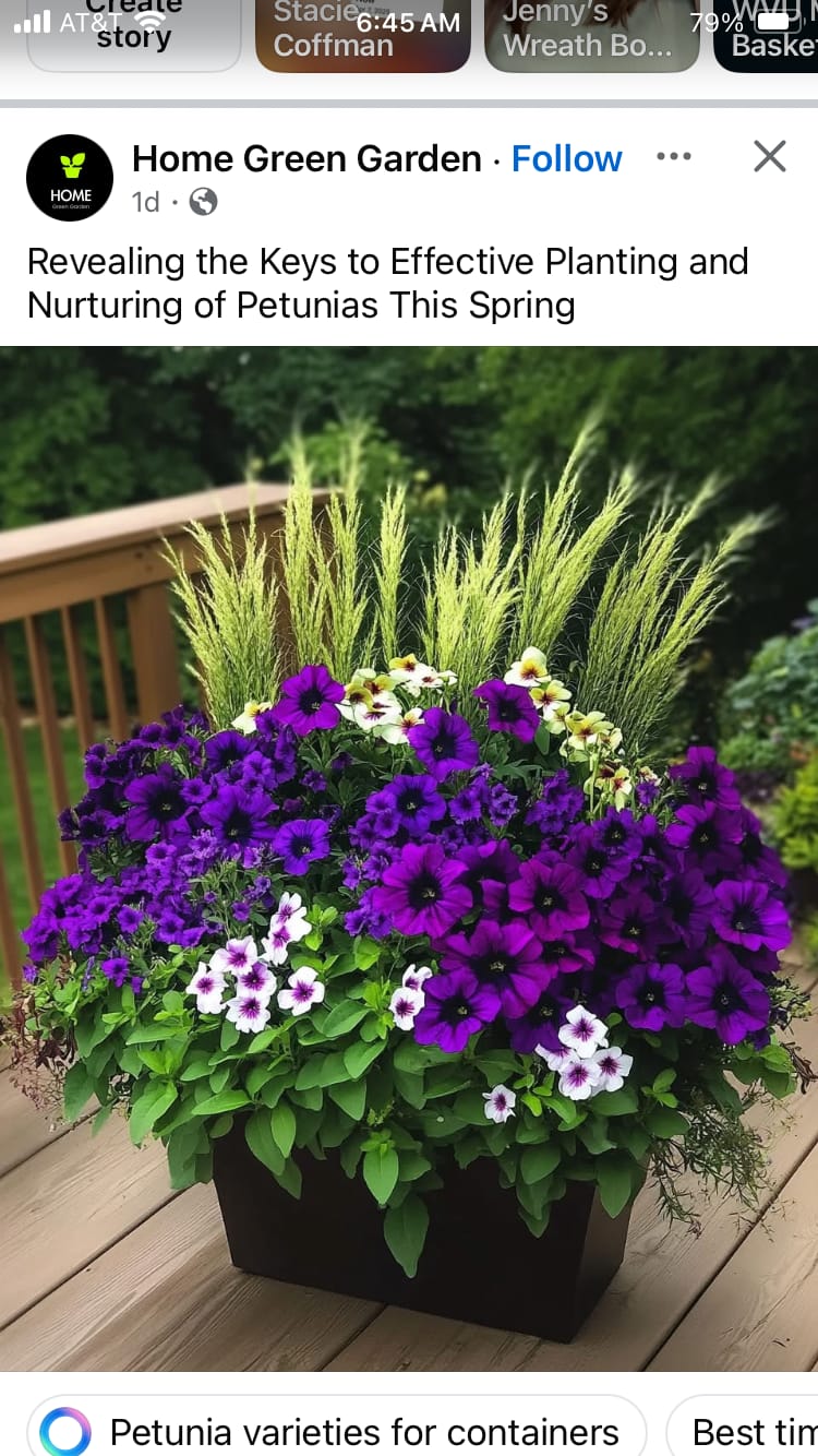 Customer photo review of 14" Round Grapevine Wreath - DECOE-034