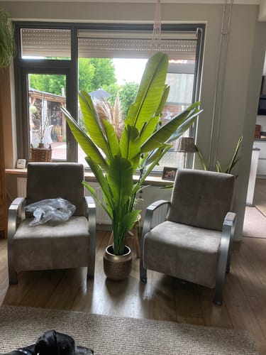 Customer photo review of Strelitzia Kunstplant 180cm Deluxe