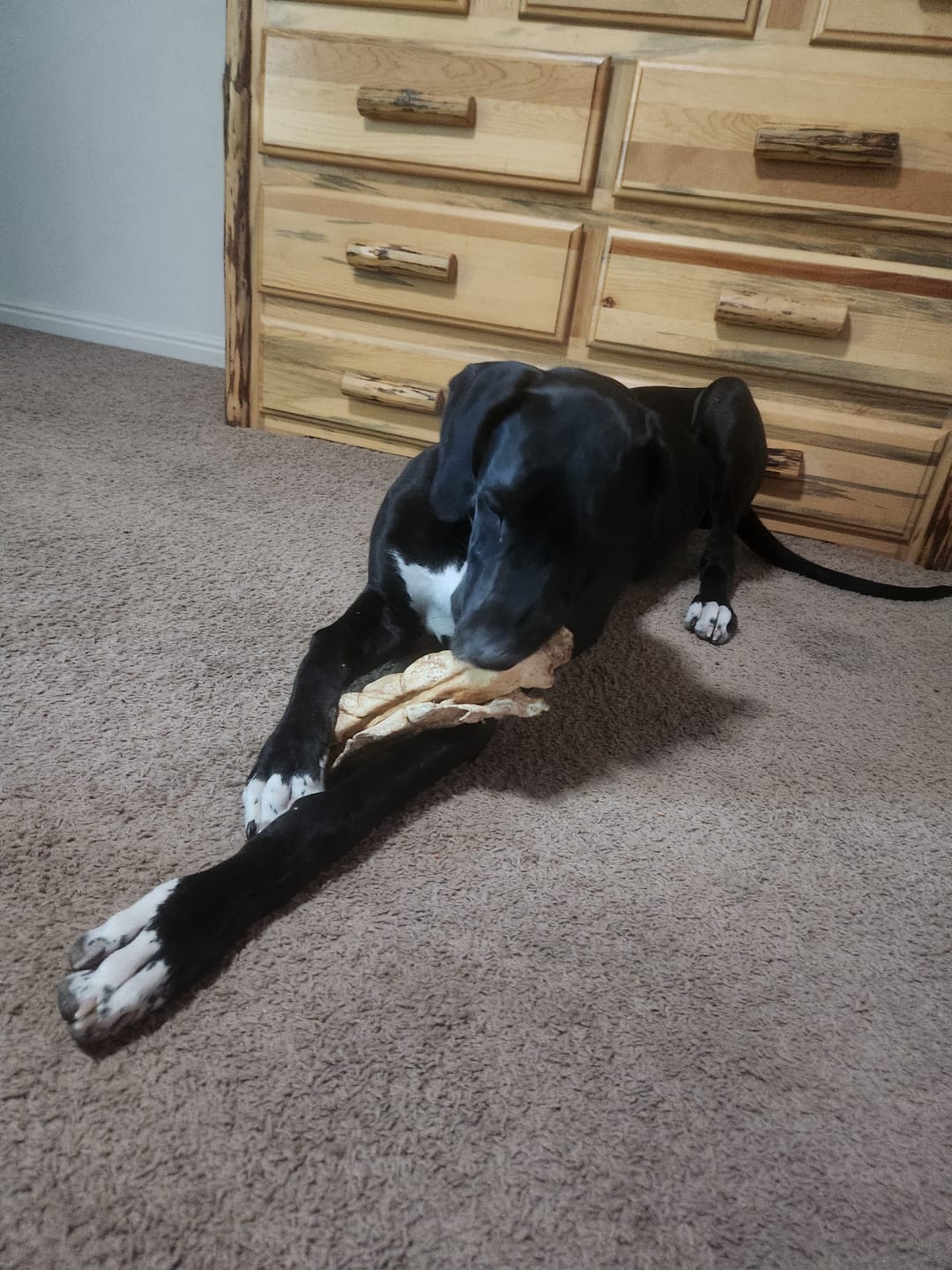 Customer photo review of 10-12 Inch Peanut Butter Cheek Roll