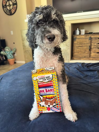 Customer photo review of Bark Bar Cookie Bars