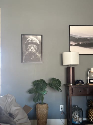 Customer photo review of Fast and Furry-ous