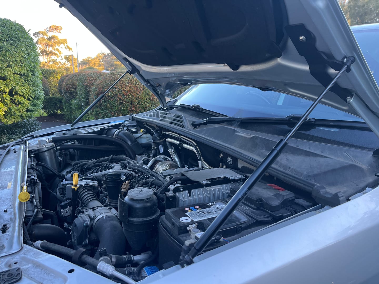 Customer photo review of Hood Strut Kit for Volkswagen Amarok 2010-2023