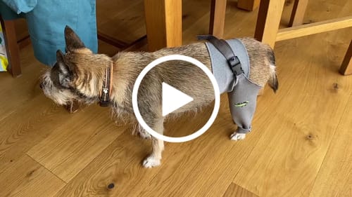 Customer video review of Lick Sleeve
