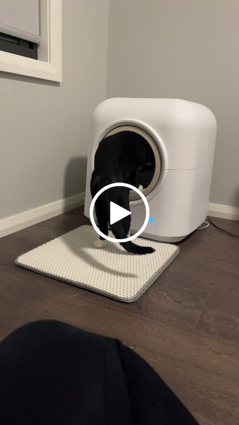 Customer video review of PaWz AutoClean Pro Automatic Self Cleaning Cat Litter Box
