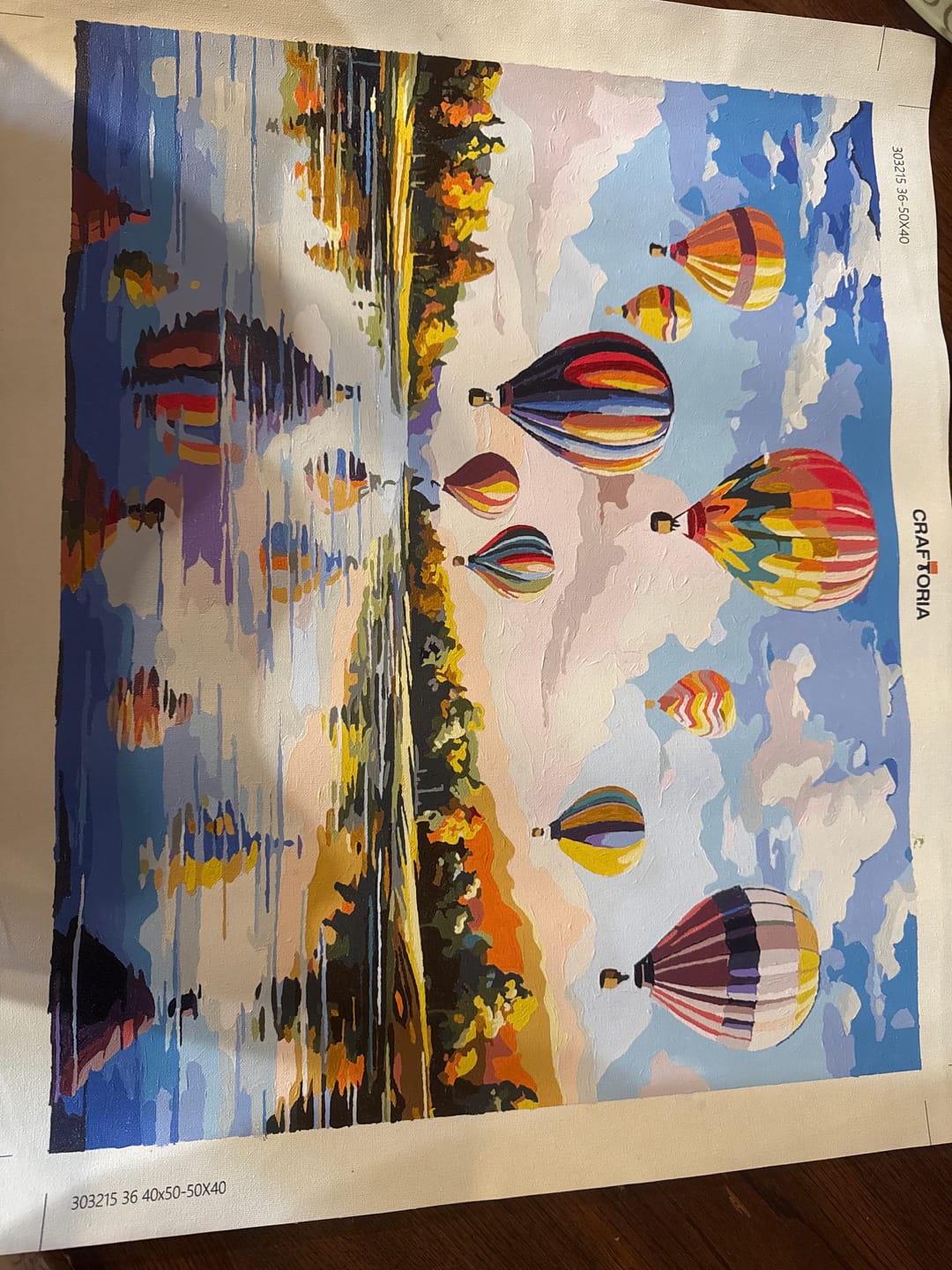 Customer photo review of Hot Air Balloon Elegance