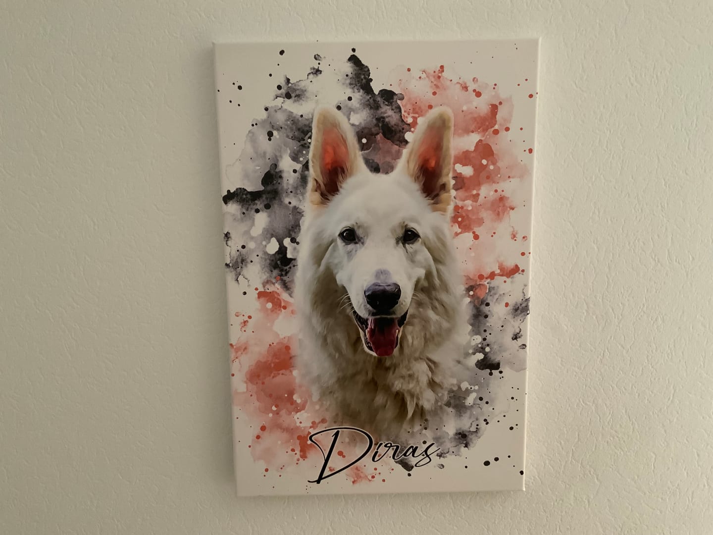 Customer photo review of Tierisches Wasserfarben Hunde Portrait