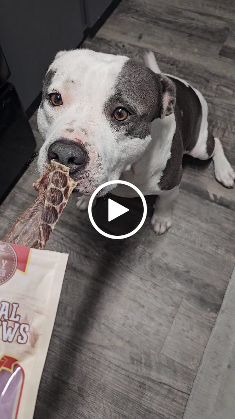 Customer video review of 6 Inch Beef Jerky Strip