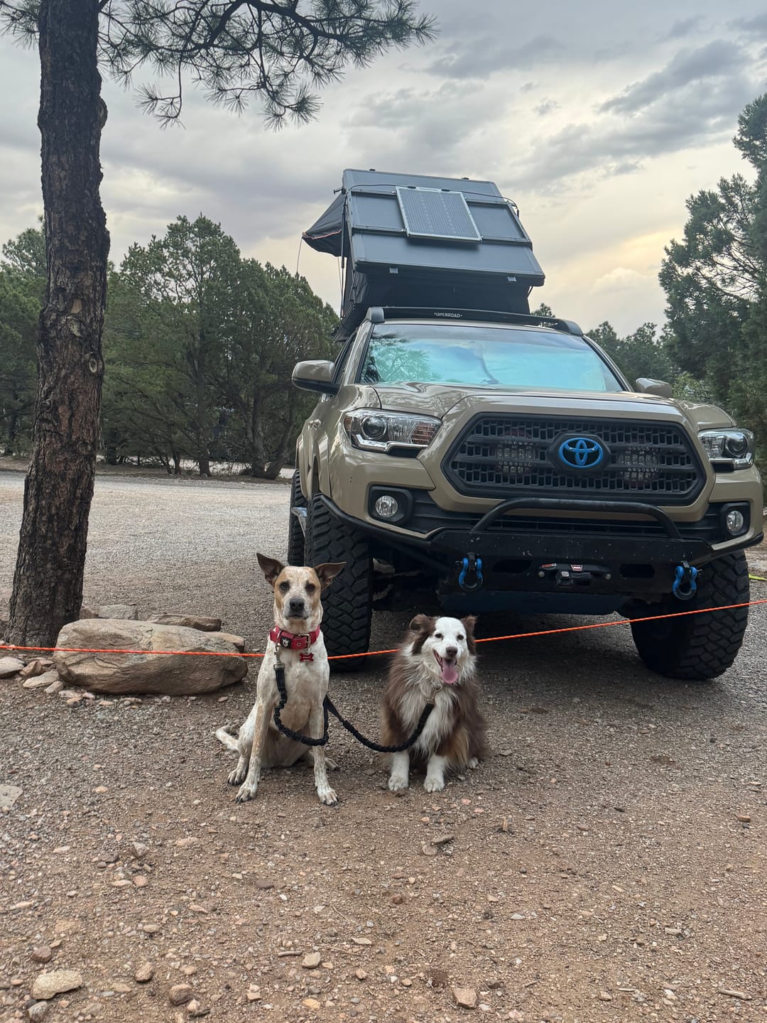 Customer photo review of OPENROAD Aluminum Hard Shell Roof Top Tent-PeakRoof LT V2 Series