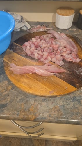Customer photo review of Fresh Grey Mullet Whole