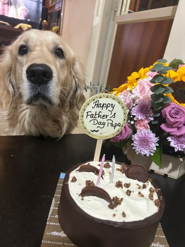 Customer photo review of You Are My Sunshine– Father’s Day Floral Basket //Bangalore