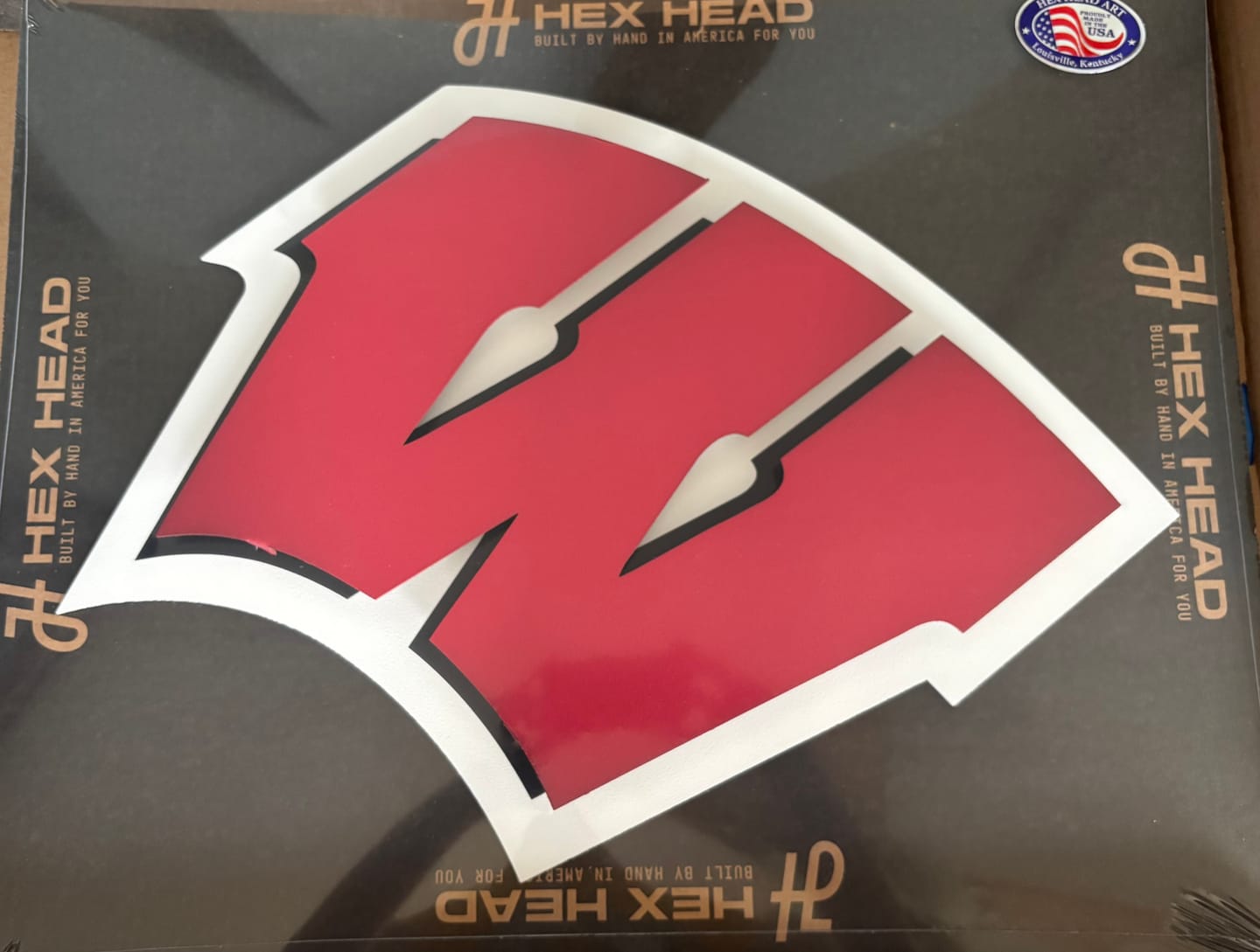 Customer photo review of Wisconsin "W" 3D Vintage Metal Artwork