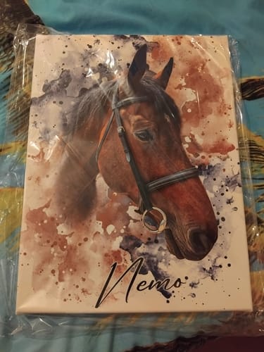 Sandra O. review of Your Horse as Watercolor Portrait image 1 out of 1