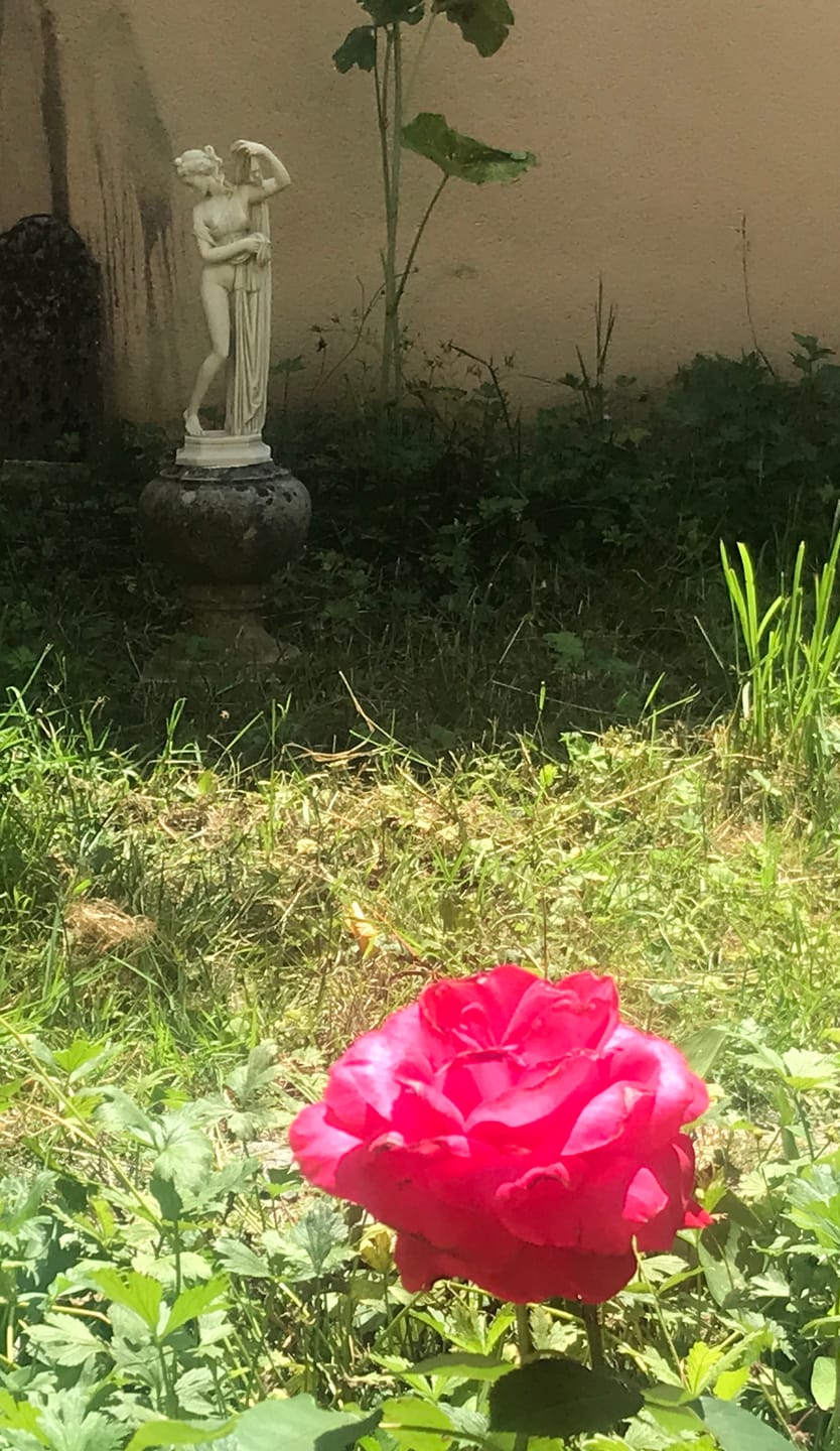 Customer photo review of Venere Afrodite Callipigia - Statua in Marmo 38 cm