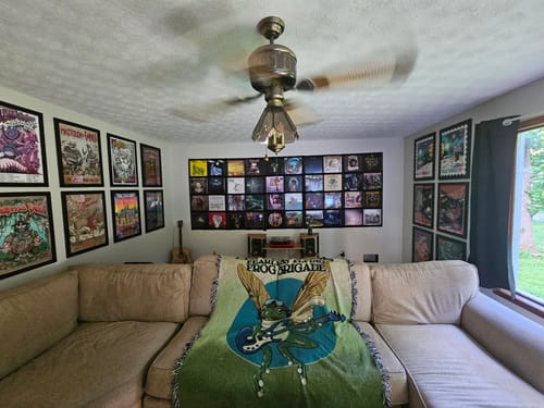 Customer photo review of 12" Vinyl Record Display Frame - LP Wall Storage