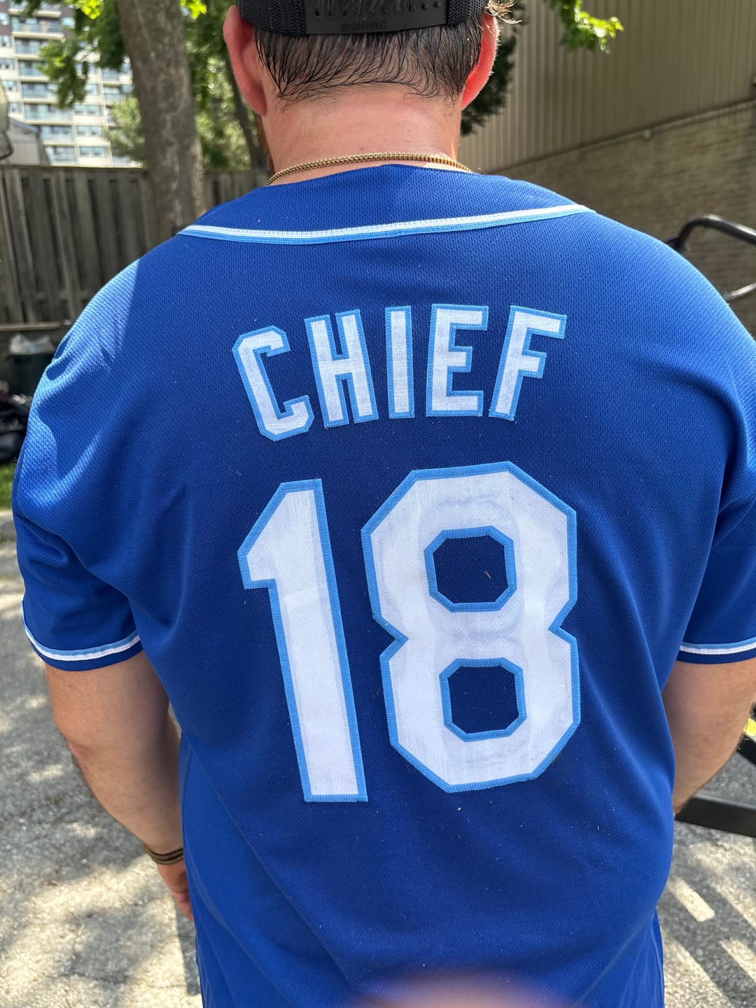 Customer photo review of Custom Royal White-Light Blue Hook Classic Style Authentic Baseball Jersey