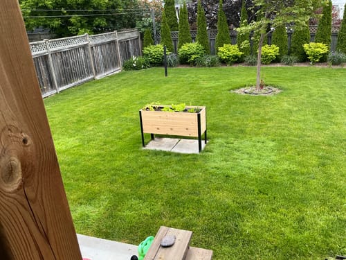 Customer photo review of 18" x 48" Raised Garden Bed - 30" TALL