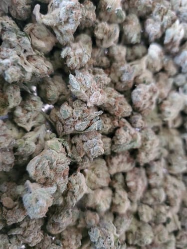 Customer photo review of Candy Runtz - 28 Grams - Minis (Hybrid)