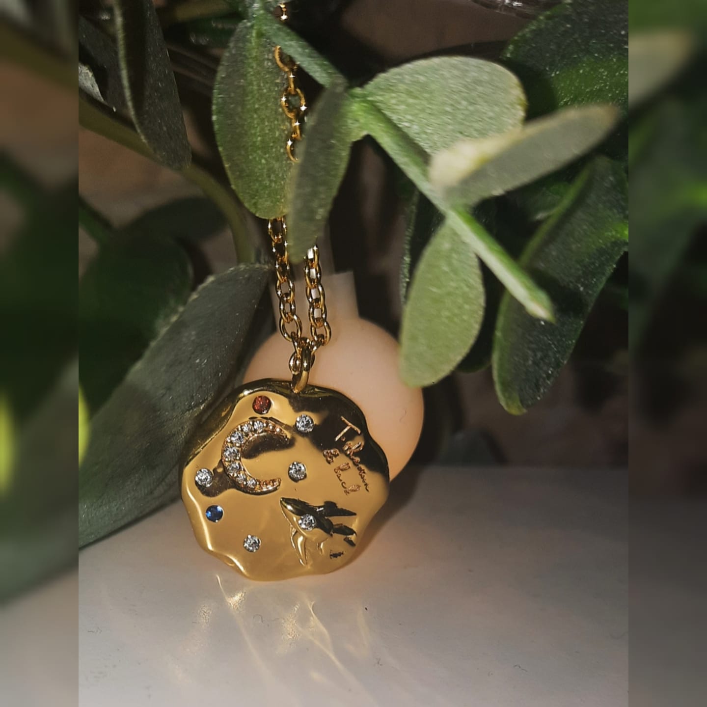 Customer photo review of To The Moon & Back Necklace in gold