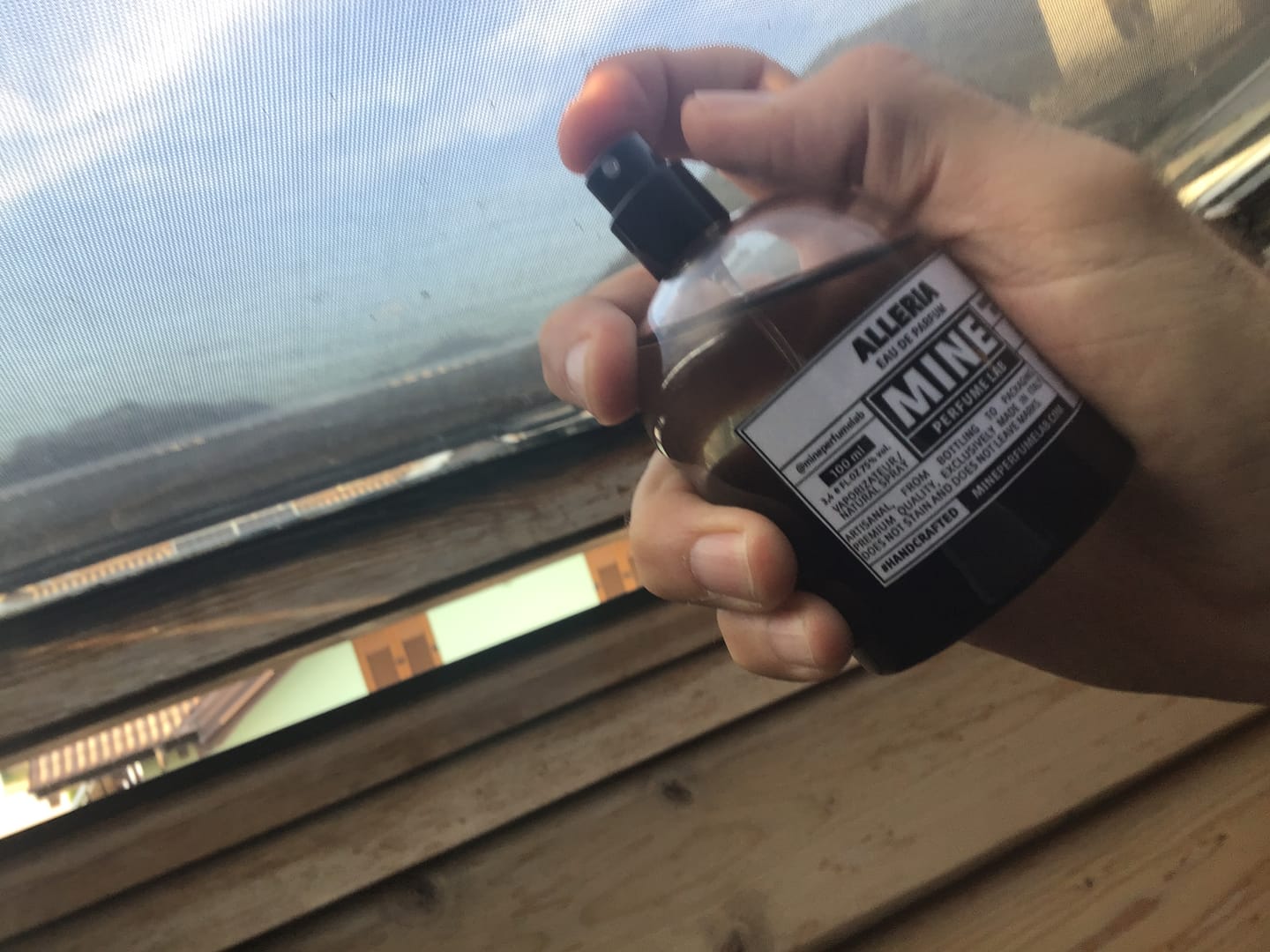 Customer photo review of ALLERIA