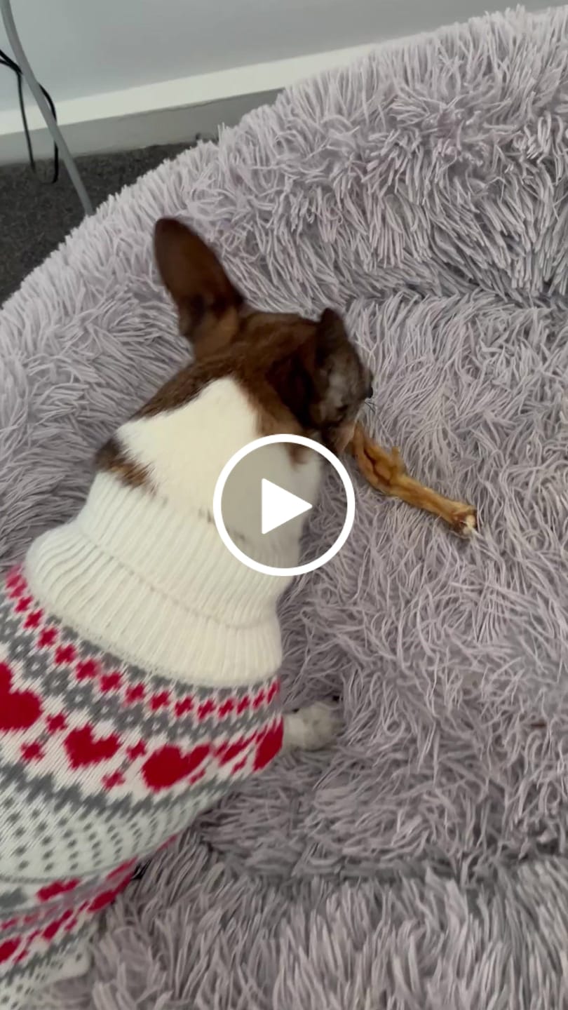 Customer video review of Chicken Feet