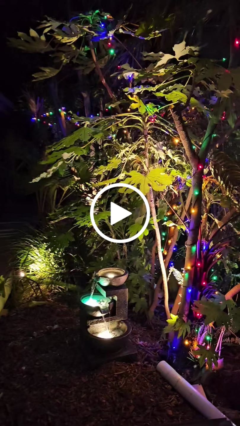 Customer video review of Carmen 3-Tier Garden Water Feature - Best Seller